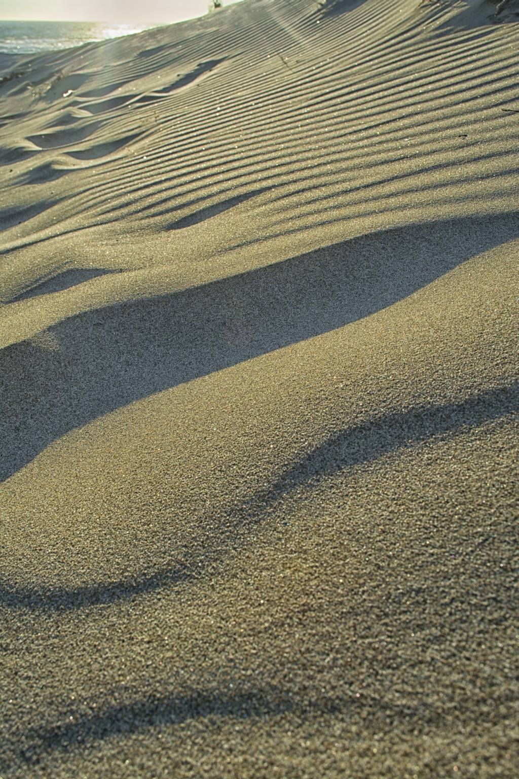 La storia delle dune di Capocotta